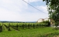 Preview: Maestro della Chiana 2019 I.G.T. Toscana