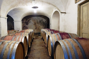 Maestro della Chiana 2019 I.G.T. Toscana