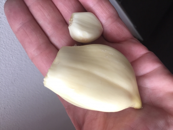 MAGLIONESE (Maionese all’Aglione/Mayonnaise mit Aglione-Riesenknoblauch), 200g