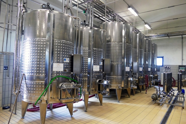 Maestro della Chiana 2019 I.G.T. Toscana